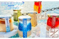 プリン 6個 セット 深海 プレーン 塩キャラメル 抹茶 あさひ 苺 【 沼津港 で 大人気 】 贈答 ギフト 用 母の日 父の日