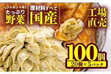 餃子 野菜 100個 20個 5パック ジューシー 冷凍 食品 小分け 松福 国産 豚肉 おつまみ