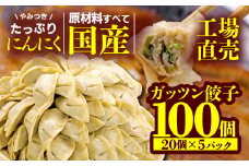 餃子 にんにく 100個 20個 5パック ジューシー 冷凍 食品 小分け ガッツン餃子 松福 国産 豚肉 おつまみ