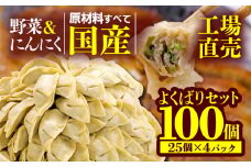 餃子 野菜 にんにく 100個 25個 4パック ジューシー セット ハーフ 冷凍 食品 小分け ガッツン餃子 松福 国産 豚肉 おつまみ