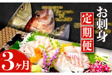 【価格改定予定】定期便 お 刺身 3ヶ月 真鯛 スズキ シマアジ 鱸 縞鯵 沼津港 駿河湾 スルガ