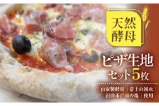 ピザ 生地 5枚 天然酵母 自家製酵母 冷凍 10000円以下 1万円以下