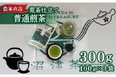 普通煎茶 100g 3袋 合計300g 普通 煎茶 2025年産 農家直送 お茶 茶葉 静岡 沼津
