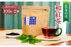 和紅茶 茶葉 100g 2袋 合計200g 農家直送 お試し お茶 静岡 沼津