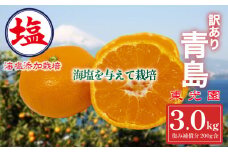 海塩を与えて栽培した 青島みかん 予約受付 12月下旬 順次発送 訳あり 青島 みかん 計 3kg  傷み補償分 200g 含む 蜜柑 柑橘 西浦 みかん オレンジ 果物 フルーツ 沼津市 静岡県