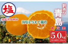 海塩を与えて栽培した 青島みかん 予約受付 12月下旬 順次発送 訳あり 青島 みかん  計 5kg 傷み補償分 200g含む 蜜柑 柑橘 西浦 みかん オレンジ 果物 フルーツ 沼津市 静岡県