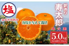 海塩を与えて栽培した 寿太郎みかん 予約受付 2月上中旬 順次発送 訳あり 寿太郎 みかん 計 5kg 傷み補償分 200g 含む 蜜柑 柑橘 オレンジ 果物 フルーツ 沼津市 静岡県