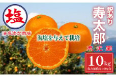 海塩を与えて栽培した 寿太郎 みかん 予約受付 2月上中旬 順次発送 訳あり みかん 計 10kg 傷み補償分 400g 含む 西浦 みかん 蜜柑 柑橘 オレンジ 果物 フルーツ 沼津市 静岡県