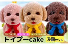 犬 ケーキ 3個 セット 【 お子様も喜ぶ かわいい 立体 ケーキ 】 トイプー  ケーキ 食べ比べ チョコレート いちご キャラメル 個包装 お菓子 動物 アニマル ケーキ 犬 トイプードル 子供 贈答 プレゼント