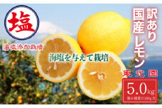 海塩を与えて栽培した 国産 レモン 予約受付 3月中旬 順次発送 訳あり 計 5kg 傷み補償分 200g 含む 檸檬 柑橘 果物 フルーツ 沼津市 静岡県
