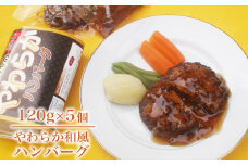 手作り ハンバーグ やわらか クラフト ハンバーグ 120g × 5個 ソース付 無添加 国産 野菜 たっぷり 低カロリー ハンバーグ 家族へのこだわり惣菜 ハンバーグ 