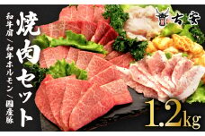 焼肉 セット1.2kg 各 300g 和牛 肩肉 ホルモン トントロ 牛 豚 味噌 塩 バーベキュー 古安