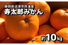 【価格改定予定】静岡県沼津市西浦産 寿太郎みかん 約10kg ご家庭用 訳あり サイズ不揃い