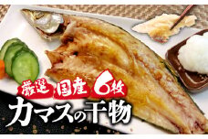 国産 ひもの 厳選 冬 カマス かます６枚 セット 詰め合わせ 干物 脂 旨味 凝縮 真空 パック 食べやすい ご飯 おかず 冷凍 小分け 個包装 かます 極上 高級 美味しい 人気 コスパ 静岡 沼津 静岡県