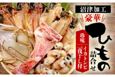 【価格改定予定】珍味 イカトンビ 一夜干し と沼津加工 干物 詰め合わせ セット イカ あじ アジ 鯛 マグロ お中元 お歳暮 母の日 父の日 のし対応 高級 ひもの コスパ ランキング 人気 美味しい 極上 静岡 沼津 静岡県