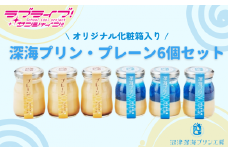 【価格改定予定】【ラブライブ！サンシャイン!!×沼津市市制100周年記念】オリジナル化粧箱入り  深海プリン・プレーン 2種類 6個セット