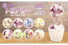 数量限定 限定品 トピアリー ブルー 花 インテリア フラワーアレンジメント ギフト 記念 お祝い 母の日 父の日 敬老の日 贈答用 プレゼント用 ラベンダー