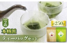 【老舗茶師 伝承製法】人気の2種本格派ティーバッグセット 指定日 可能 お茶 緑茶 ほうじ茶 気軽 上品  
