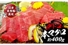 本マグロ 中とろ 400g マグロ トロ 鮪 海鮮 晩酌 冷凍 刺し身 まぐろ さしみ 柵 皮付き 海鮮丼 人気 小分け 中トロ 刺身 お刺身 国産マグロ 漬け ネギトロ 産地直送 赤身 冷凍 生食用 静岡 沼津 コスパ 人気 まぐろ おいしい まぐろ 鮪