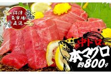 本マグロ 中とろ 800g マグロ トロ 鮪 海鮮 晩酌 冷凍 刺し身 まぐろ さしみ 柵 皮付き 海鮮丼 人気 小分け 中トロ 刺身 お刺身 国産マグロ 漬け ネギトロ 産地直送 赤身 冷凍 静岡 沼津 おいしい コスパ ランキング 人気