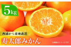 寿太郎 みかん 約5kg 西浦 柑橘 本格 貯蔵 熟成 ( 数量限定 みかん 果物 フルーツ 柑橘 国産 静岡 沼津 )