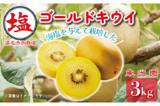 【価格改定予定】数量限定 海塩を与えて栽培した ゴールドキウイ  計 3kg 以上 11月中旬 順次発送  傷み補償分 200g付き  訳あり キウイ 果物 フルーツ 沼津市 静岡県 ゴールデンキウイ