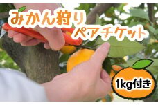  みかん狩り ペア入園料 ＋ 1㎏ お土産つき 西浦 みかん お土産 柑橘 ペア チケット 木負観光みかん園 観光 自然  ( 数量限定 みかん 果物 みかん フルーツ みかん 柑橘 みかん 国産 )