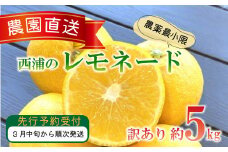 訳あり 西浦 レモネード 5kg 西浦 蜜柑 柑橘 オレンジ 減農薬 木負観光みかん園 数量限定