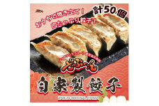 ざぶ～ん 自家製 餃子 10個入り×5パック 計50個（冷凍生餃子）