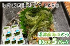 海ぶどう 80g×5パック 沼津産 