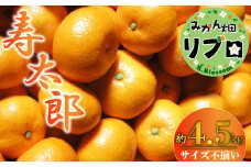 訳あり 寿太郎 みかん 4.5kg 産地直送 柑橘 静岡 沼津 西浦 ランキング 糖度 おいしい コスパ 甘い 人気 時期 旬 10000円 美味しい 