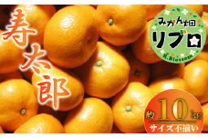訳あり 寿太郎 みかん 10kg 産地直送 柑橘 静岡 沼津 西浦 柑橘 ランキング 糖度 おいしい コスパ ランキング 甘い 人気 時期 旬 美味しい