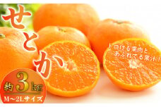 【価格改定予定】柑橘の大トロ せとか 約 3kg  M～2Lサイズ 産地直送 数量限定 柑橘 西浦 沼津 蜜柑