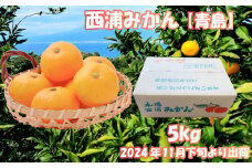 【価格改定予定】青島 みかん 約 5kg  産地直送 柑橘 西浦 沼津 蜜柑　訳あり