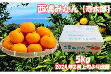寿太郎 みかん 約 5kg  産地直送 柑橘 西浦 沼津 蜜柑　訳あり