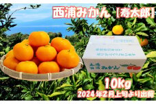 寿太郎 みかん 約 10kg  産地直送 柑橘 西浦 沼津 蜜柑　訳あり