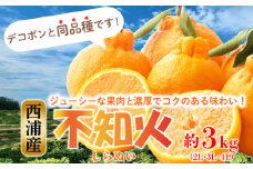 不知火 しらぬい 約3kg  2L～4Lサイズ 3月上旬から順次配送 産地直送  柑橘 西浦 沼津 