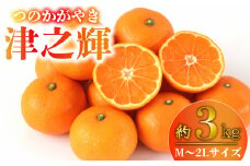 【価格改定予定】津之輝 約3kg  2S～Mサイズ 1月中旬から順次配送 産地直送  柑橘 西浦 沼津 みかん