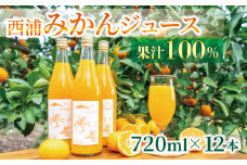 果汁 100％  みかん ジュース  720ml × 12本 西浦 オレンジ 飲み物 静岡 沼津 2025年2月以降順次発送