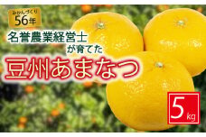豆州 あまなつ 約 5 kg 【 はら みかん 農園 】 柑橘 オレンジ 沼津 静岡 フルーツ 農園 直送 数量 限定
