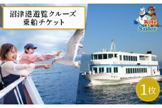 沼津港 遊覧クルーズ 乗船チケット 1枚 駿河湾 富士山 