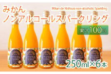 果汁 100％  みかん スパークリング ドリンク 250ml × 6本 ジュース 炭酸 飲料 西浦 オレンジ 飲み物 2025年2月より順次発送 静岡 沼津
