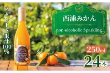 西浦 みかん スパークリング ジュース ストレート 果汁 100％ 250ml×24本 蜜柑 飲み物 ミカン 人気 贈答用 静岡 沼津