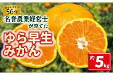 【 早期予約10月発送 】 ゆら 早生 みかん 約 5kg 【 はら みかん 農園 】 柑橘 オレンジ 沼津 静岡 フルーツ 直送 数量 限定