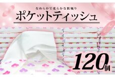 ポケットティッシュ 120個 入 ポケットサイズ ティッシュ 日用品 雑貨 消耗品 防災 備蓄