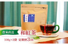 定期便 和紅茶 茶葉 100g 2袋 計3回 合計 600g  農家直送 お茶 茶葉 静岡 沼津