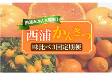 【 柑橘 定期便 】 訳あり 味比べ 3回 定期便 由良 みかん 寿太郎 みかん ブラッドオレンジ 5kg