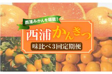 【 柑橘 定期便 】 訳あり 味比べ 3回 定期便 由良 みかん 寿太郎 みかん はるみ 5kg