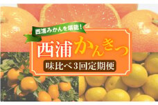 【 柑橘 定期便 】 訳あり 味比べ 3回 定期便 由良 みかん 寿太郎 みかん レモネード 5kg