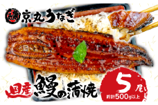 国産 うなぎ 蒲焼 5尾 約500g 鰻 肝 佃煮 ギフトボックス セット 老舗 専門店 うなぎ処京丸 静岡県 人気 小分け 高級 土用 丑の日 